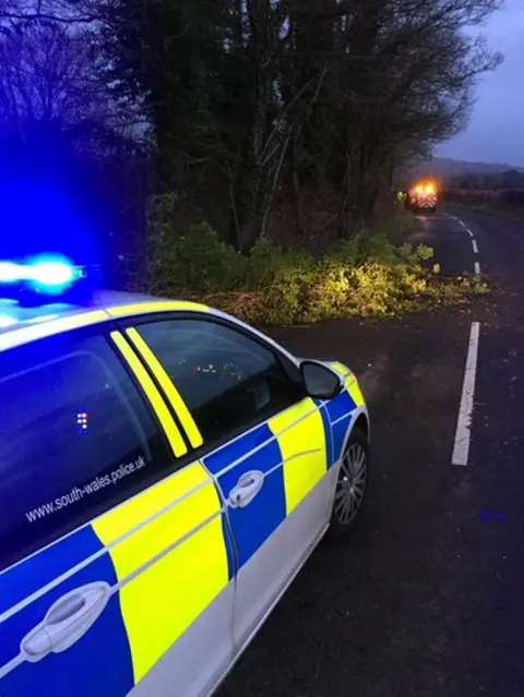 SW Police Swansea tree fallen