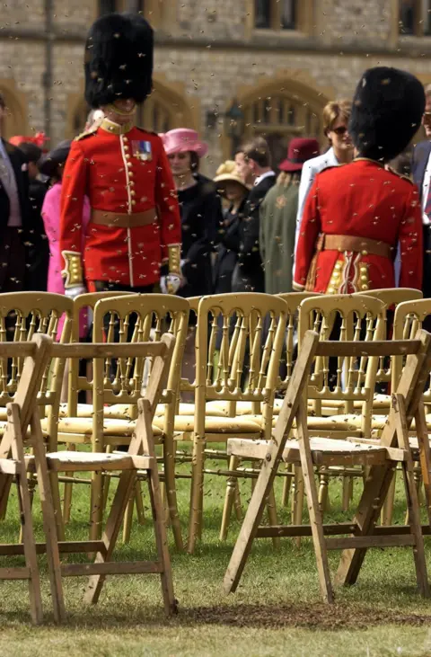 Chris Young / PA Media Bees at Windsor Castle