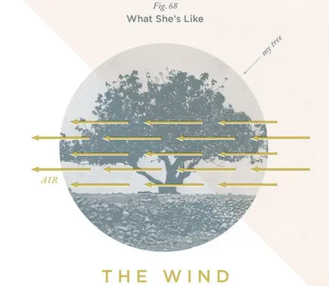 Fight Design Co. She's Like the Wind