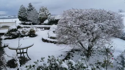 Nick Rolfe Garden view in Nerwcys, near Mold