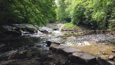 BBC Tollymore Forest Park