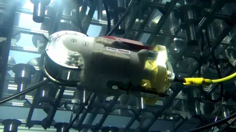 AFP Toshiba's swimming robot