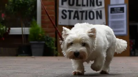 Getty Images A small white dog on a lead outside a polling station