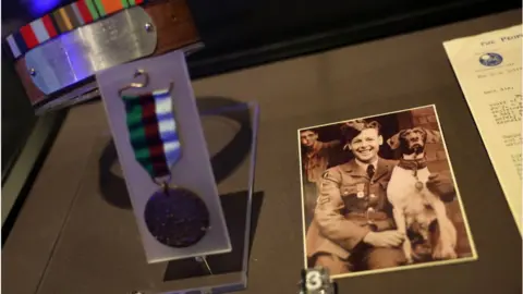 PA Media Judy's collar and medal (L), and a photo of leading aircraft man Frank Williams, and a Royal Naval Ship's Dog, a Pointer named Judy in Gloe Gloer camp in Indonesia