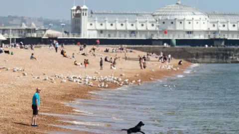 Getty Images A man walks his dog along the beach on May 09, 2020 in Brighton, England. The UK is continuing with quarantine measures intended to curb the spread of Covid-19, but as the infection rate is falling government officials are discussing the terms under which it would ease the lockdown.