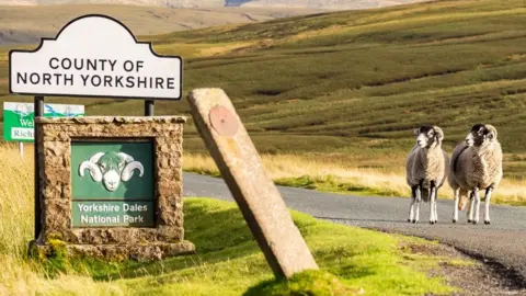 BerndBrueggemann/Getty North Yorkshire sign with sheep