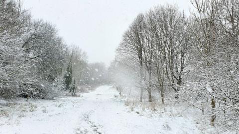 In pictures: Scotland snoozes under blanket of snow - BBC News