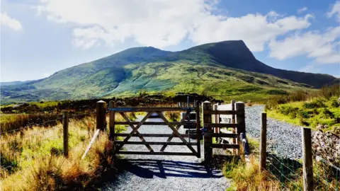 Snowdon