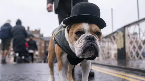 PA Media Dog in bowler hat