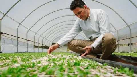 Stevia Hellas Cooperative looking at the plants