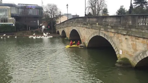 Steve Humm Cat being rescued