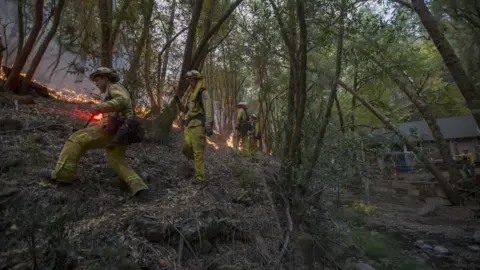 Getty Images wildfire