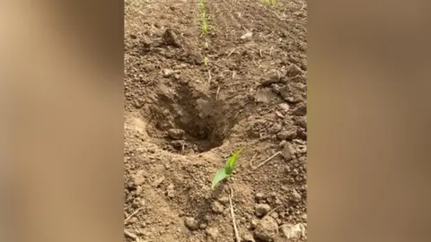 Tim Merry Hole in land