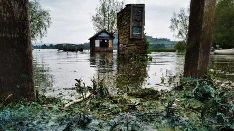 Llangors lake filled with blue-green algae