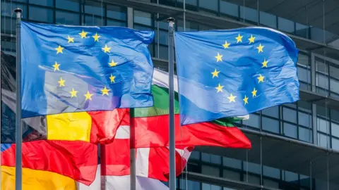 Getty Images Flags of the European Union