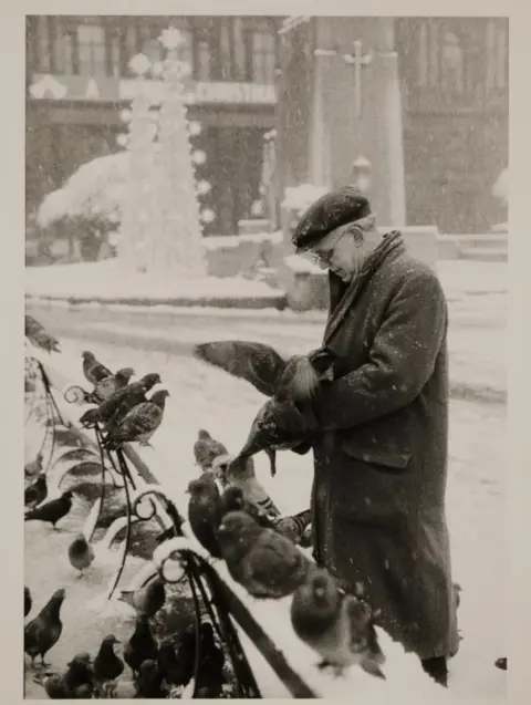 MARZAROLI COLLECTION Pigeons at George Square, 1964