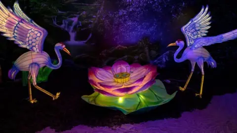 EPA One of the many displays on view at the Glow Fest at Sandton in Johannesburg, South Africa, 12 March 2023. The lantern festival showcases more than 50 wildlife displays put together from over 2,000 lanterns and 100,000 LED lightbulbs.