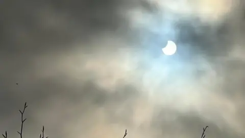 Wendy Scott The partial eclipse