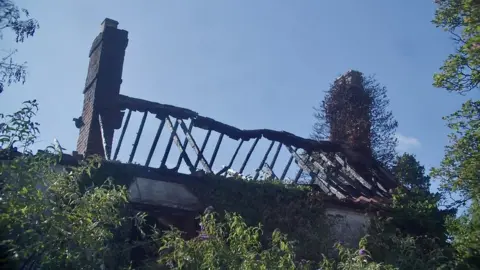 David Cross The burnt roof of a derelict house