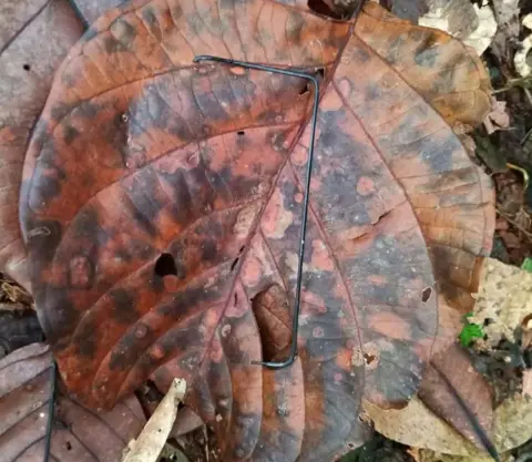 Reuters A piece of metal which authorities said was from a mobile phone was found in the jungle on 23 May