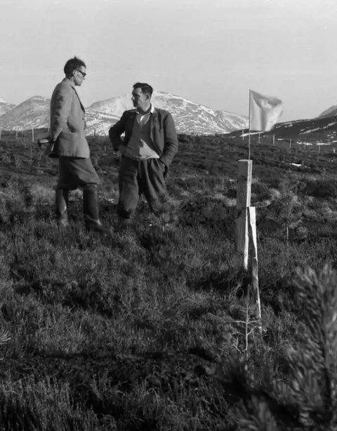 Forestry and Land Scotland Commissioners carrying out a survey