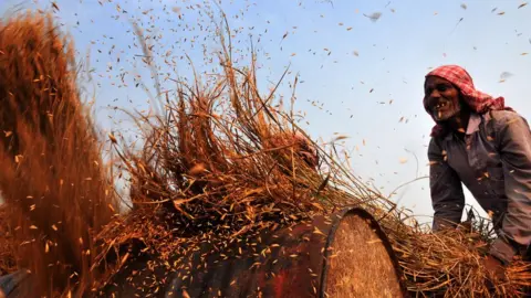 Getty Images Farmer in Jammu area of India