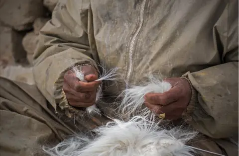 Andrew Newey A shepherd holds goat hair