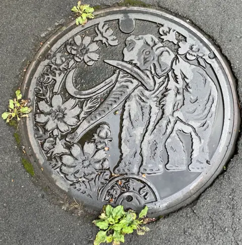 A manhole cover showing the elephant