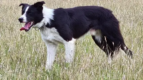 Skipton Auction Mart Jack - Seller, Mark Banham