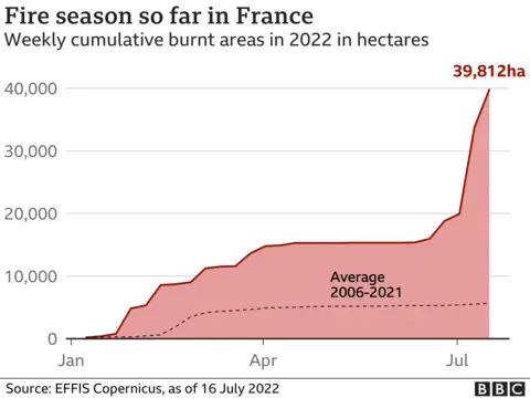 Forest fires in France so far this year