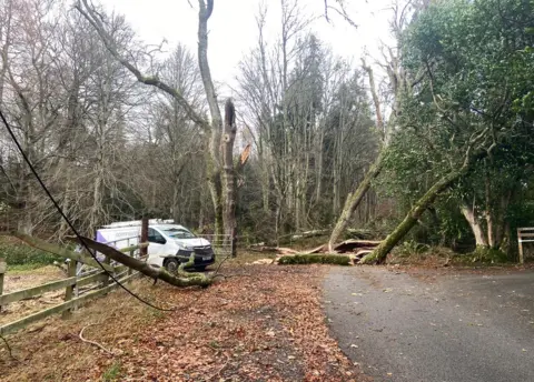 Openreach Trees down at Aboyne