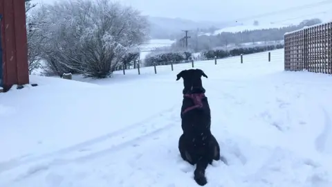 Plenploth Jackie/BBC Weather Watchers Snow in Scottish Borders