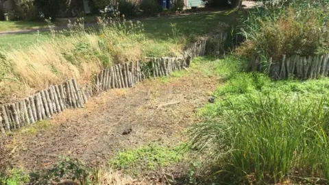 BBC Lady Walk pond in August 2020