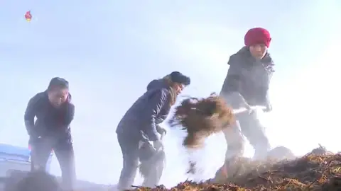 KOREA CENTRAL TELEVISION Farm workers shovel manure in a clip on North Korean television