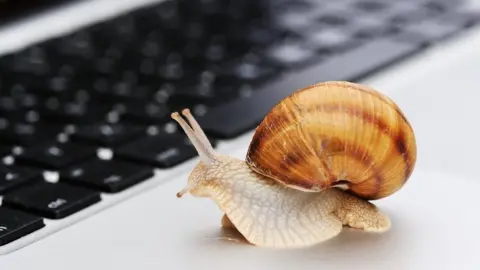 Getty Images Snail computer