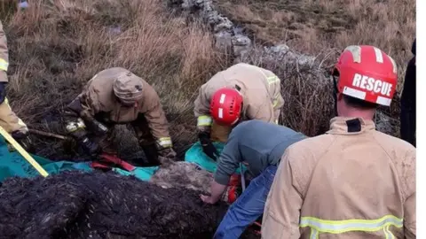  Northern Ireland Fire and Rescue Service Animal rescue