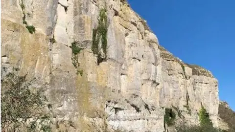 Dorset Police Cliff at Wakeham