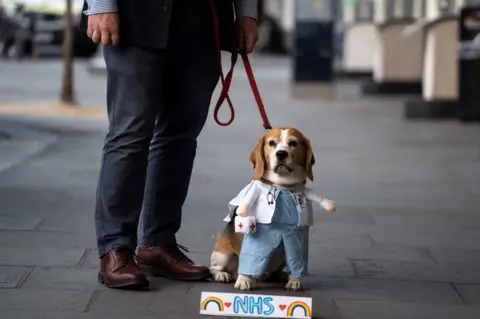 Niklas Halle'n / Getty Images A dog wears a doctor's uniform