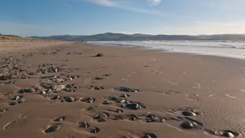Geograph/Ian Capper Aberdyfi beach