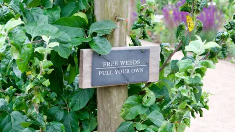 BBC Guy's Cliffe Walled Garden