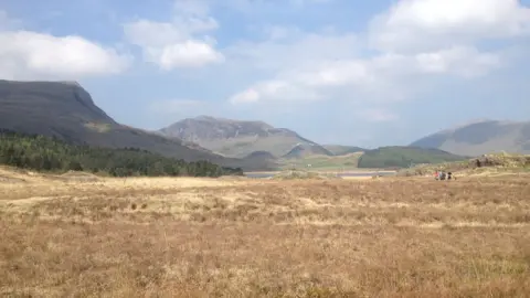 Snowdonia National Park Authority Peatlands at Rhyd Ddu, Snowdonia