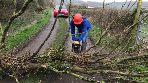 BBC Tree surgeon