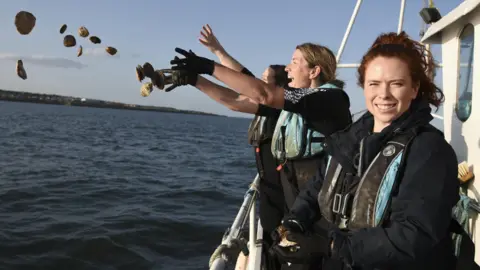 Conservationists release oysters into the ocean