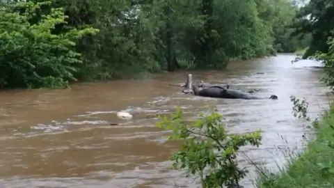 Jill MacKay The River Tyne