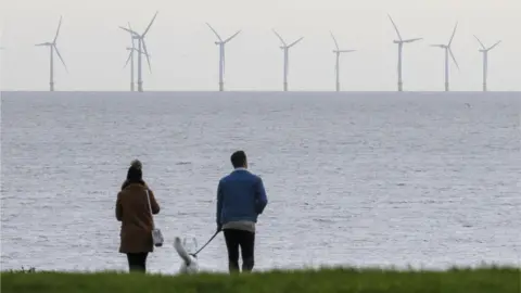 Getty Images Couple with dog looking at wind farm