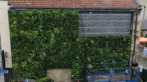 BBC Living Green Wall