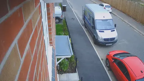 Matt Ryder Cat near van