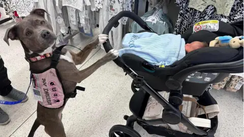 Amee Tomkins Belle with baby Olly