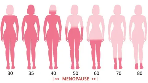 Getty Images Oestrogen levels in the female body throughout life