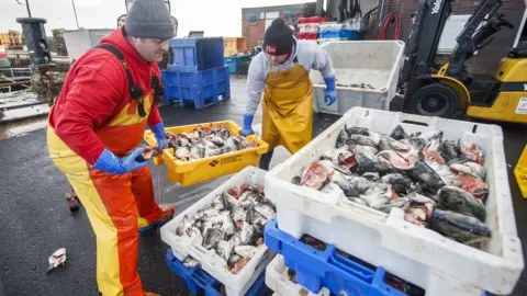 PA Media Fishing bait is unloaded at Bridlington Harbour fishing port in Yorkshire